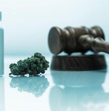 Czas na globalną reformę polityki narkotykowej