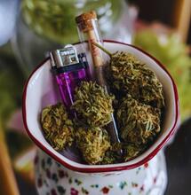 Czy CBD może wzmocnić działanie THC? Nowe badania pokazują zaskakujące wyniki