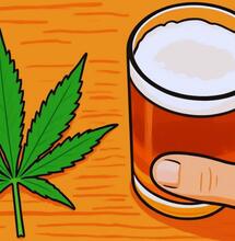 Czy palenie marihuany zmniejsza spożycie alkoholu?