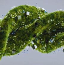 Czy regularne palenie marihuany zmienia nasze geny?