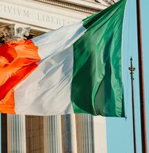 Czy włoski sektor konopny upadnie? Producenci i stowarzyszenia walczą z nowymi regulacjami