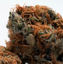Cómo Identificar el Momento Perfecto para Cosechar Cannabis y Cómo Secar