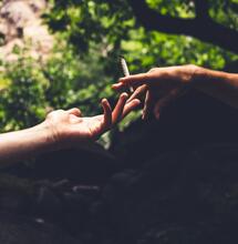 Česko a Německo jdou společně vstříc legalizaci marihuany