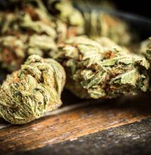 DEA inspraakronde over cannabis levert 43.558 reacties op