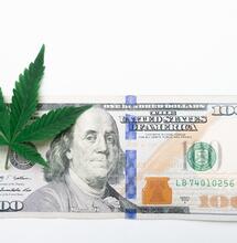 US sales on course to top $26 Billion as regulated market thrives