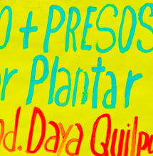 ''Cultivo Seguro'' Reforma la ley de drogas en Chile