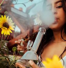 Dabbování -  konzumace konopí