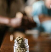 Decriminalisation has no effect on drug overdoses, says new study