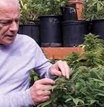 Le jardin-terrasse révolutionnaire de Dennis Peron 