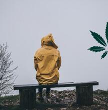 Depresja i marihuana