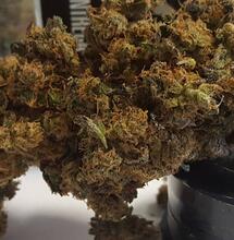 Dinamed: llegan las CBD dominantes