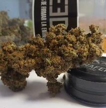 Nowotwory a alkohol i marihuana – nowe wyniki badań