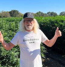 Dlaczego edukacja na temat marihuany potrzebuje chronionego cyfrowego sanktuarium