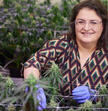 Dr Céline Nicole-de Groot, chercheuse spécialisée dans le cannabis et la lumière