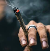 Drogenaffinitätsstudie 2025: Cannabiskonsum junger Männer steigt 