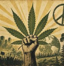 The War on Drugs editorial view 