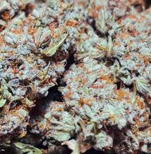 Jak zrobić Dry Sift Hash?