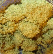 Dry Sift hašiš – přesný postup výroby