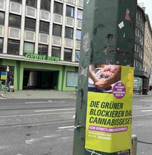 Bondsraad Duitsland akkoord: bezit en thuiskweek cannabis op 1 april legaal
