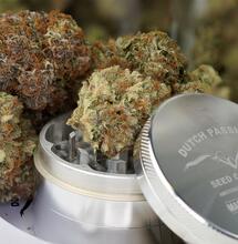 Catching Up with Dutch Passion