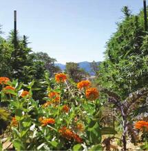 Le jardin d’appellation d’origine protégée de Californie