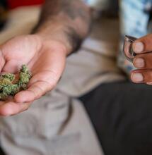 Regulación de cannabis: mucho más efectiva que la policia