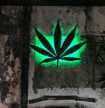 El 20 de abril: reivindicación global del cannabis