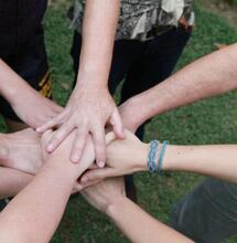 El invernadero de la hermandad verde