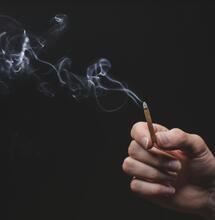 El olor del cannabis como argumento prohibicionista