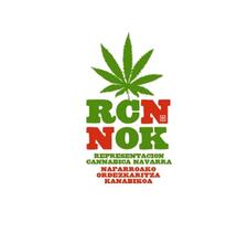 El parlamento de Navarra dice no al Cannabis