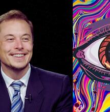 Elon Musk: „Ludzie powinni być otwarci na psychodeliki”