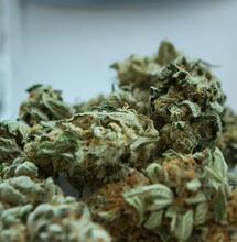 Elton John hält die Cannabis-Legalisierung für einen Fehler