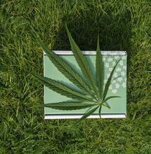 Canapa terapeutica, la parola ai ricercatori