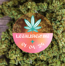 Endlich Einigkeit - Termin für Legalisierung bleibt bestehen