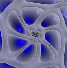 Endocannabinoids: The Natural System That Balances the Body