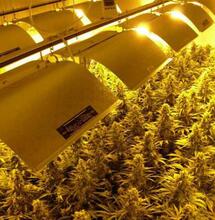 La crise de l'énergie frappe les producteurs de toute l'Europe