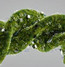 Fumare regolarmente Cannabis trasforma i nostri geni?