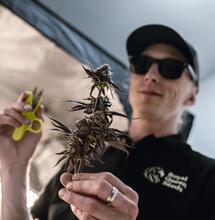 The Perfect Grow seconda stagione: il terreno migliore