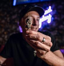 The Perfect Grow S2 E7 : questions / réponses