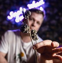 The Perfect Grow S2 E8 : le trimming et le curing
