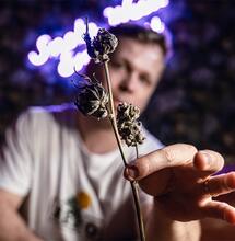 The Perfect Grow Staffel 2 Ep 8, In Form bringen