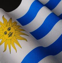 Legal cannabis consumption on the rise in Uruguay