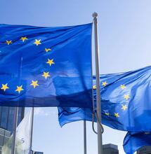 EU plant Anerkennung von Hanfblüten als Agrar-Produkte