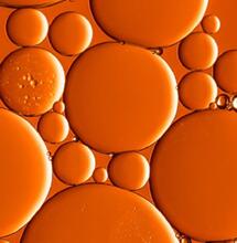 Téléchargez le rapport sur les extractions des Prohibition Partners