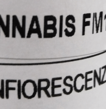 FM1