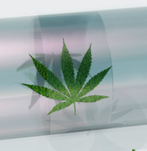 Ministro Grillo, guardi Malta e impari dal Canada