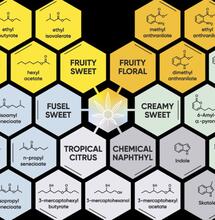 Flaworanty: nowe terpeny?