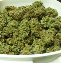 Fleur ou fruit ? Que fumons-nous vraiment ?