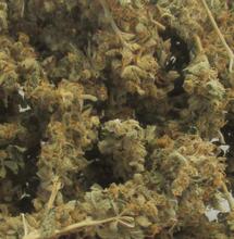 Cannabis médical : les fleurs ne seront plus remboursées en Allemagne