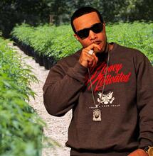 Sean "Diddy" investe sulla cannabis per combattere le disuguaglianze razziali